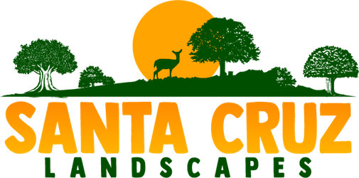 Santa Cruz Landscapes